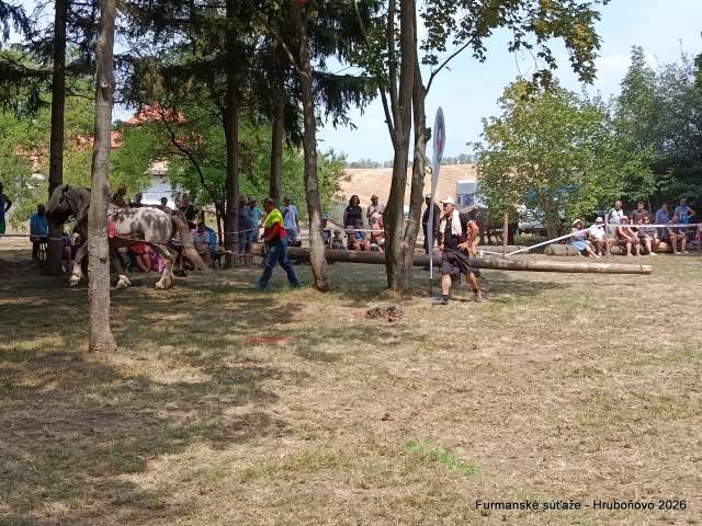 IMG_20260801_131130
